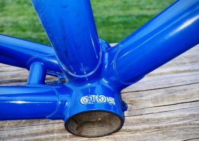 Image of Gios Torino