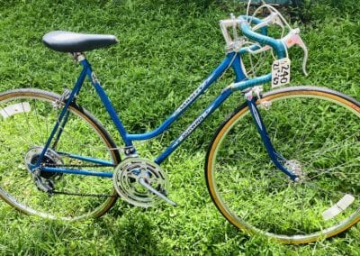 Image of Schwinn Varisty
