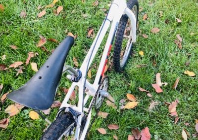 Image of BMX Redline