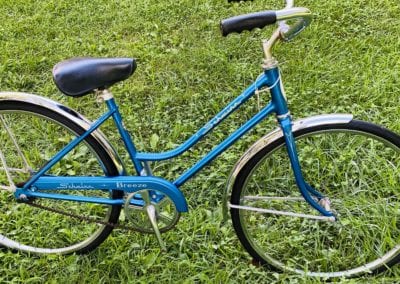 Image of Kid Classic Schwinn