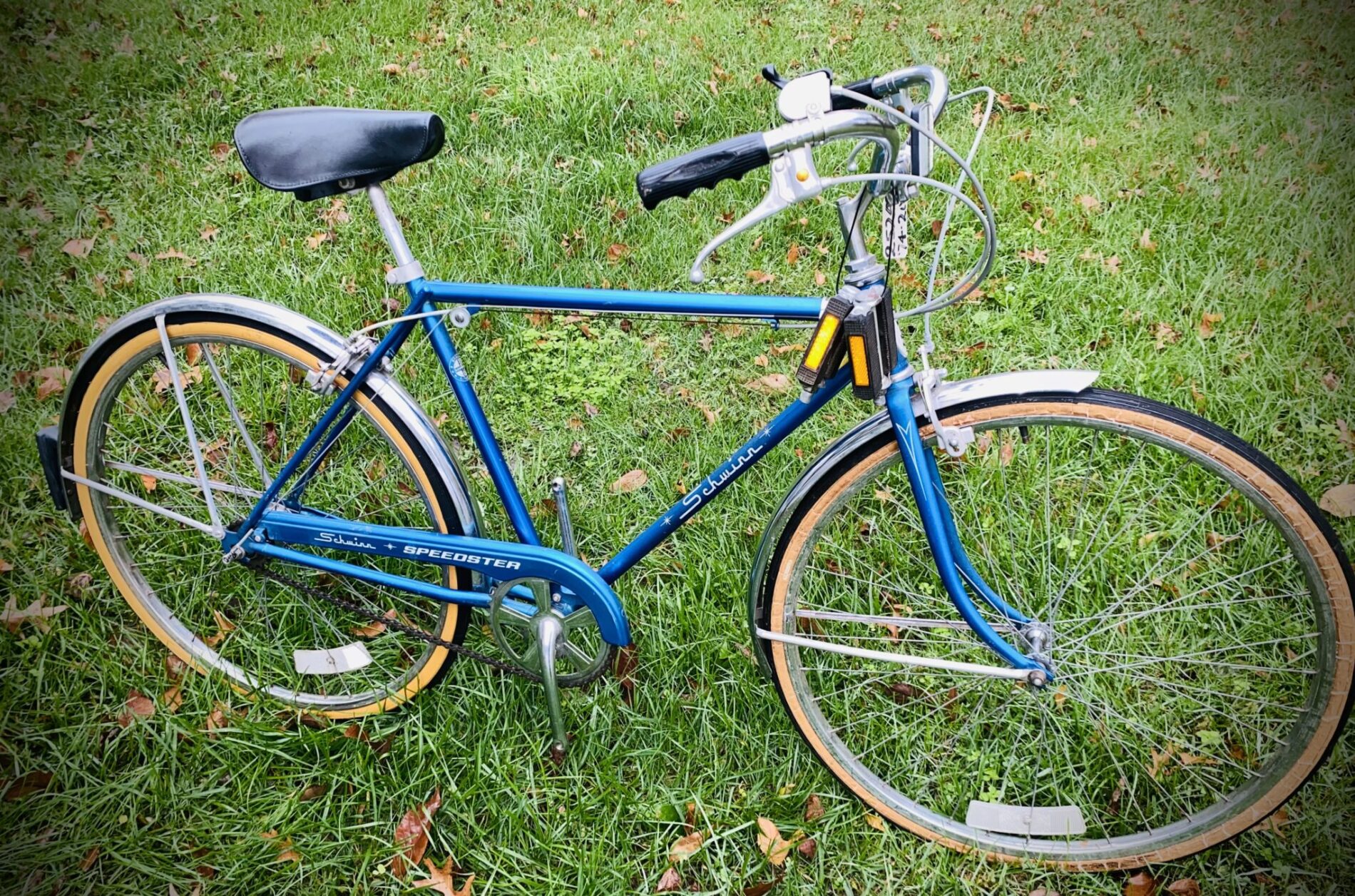 Schwinn speedster on sale