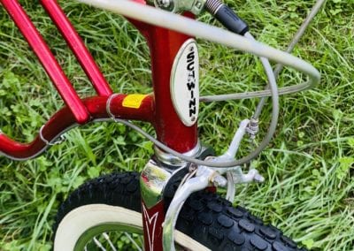 Image of Schwinn DeLuxe