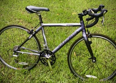 Image of Road Trek WSD 2100