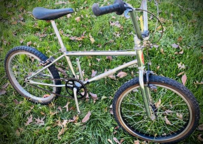 Image of Schwinn Predator