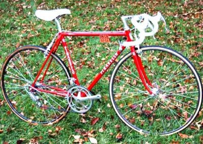 Image of Pinarello Treviso