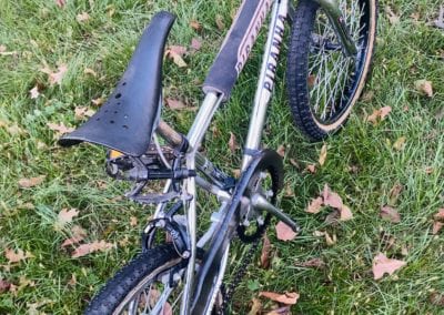 Ross piranha bmx 2025