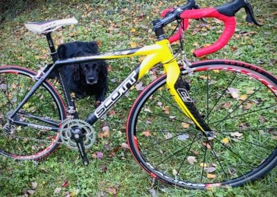 Image of Scott CR1 Equipe