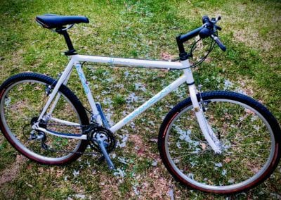 Image of Schwinn Paramount
