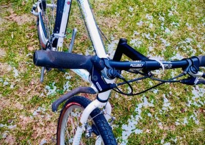 Image of Schwinn Paramount