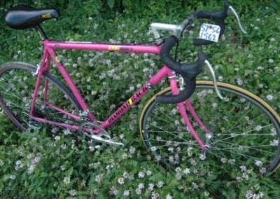 Image of Diamondback Master TG