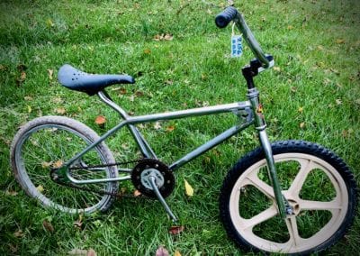 Image of Diamondback Racer