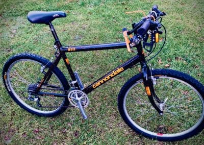 Image of Cannondale Beast