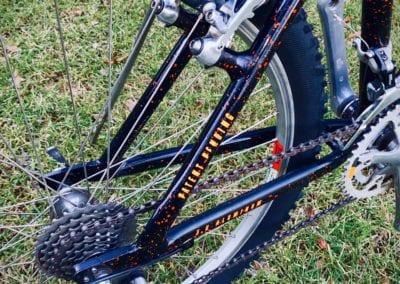 Image of Cannondale Beast