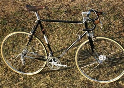 Image of Schwinn Paramount P10