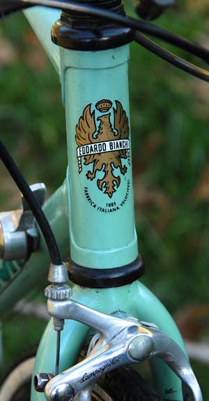 2719 Bianchi Trofeo - Mount Airy Bicycles