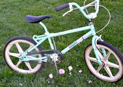 Image of Mongoose Decade