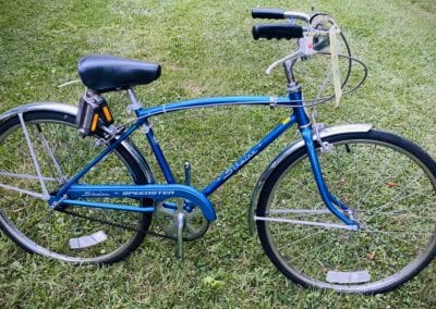 Image of Schwinn Speedster 3