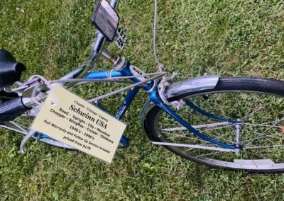Image of Schwinn Speedster 3