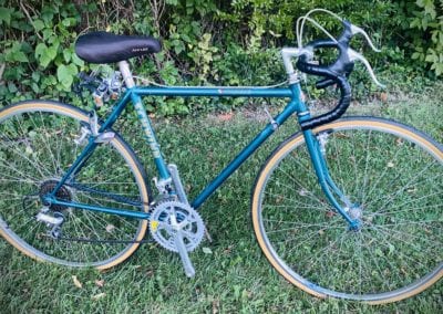Image of Schwinn Voyager