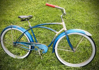 Image of Schwinn Wasp