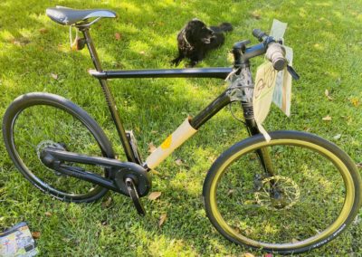 Image of Cannondale On