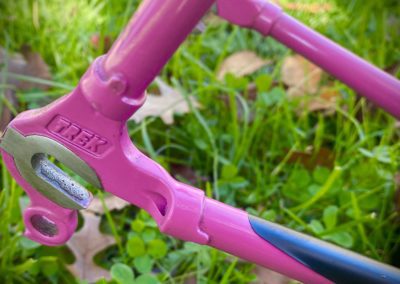 Image of Trek 170