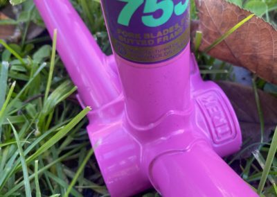Image of Trek 170
