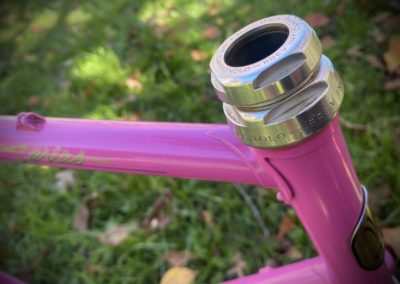 Image of Trek 170