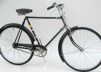Image if Raleigh DL1