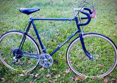 Image of Classic Nishiki