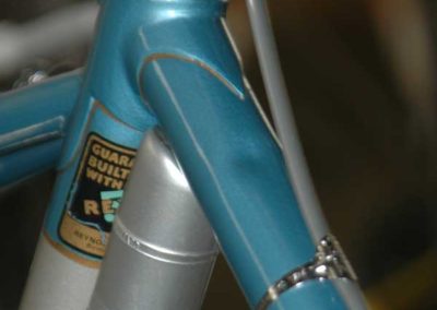 Image of Raleigh Professional 1975