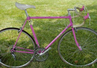 Image of Trek 970