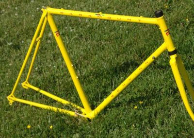 Image of Schwinn Paramount
