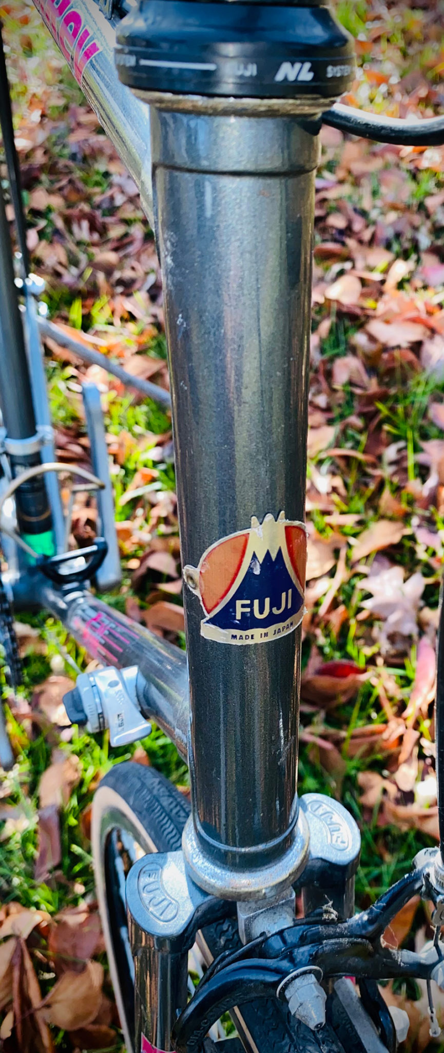 4909 Ltwt Classic Fuji Del Rey Mount Airy Bicycles