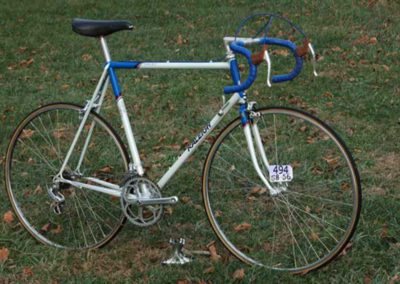 Raleigh Angle 1