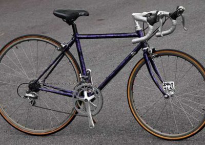 Angle 1 of Terry Professional Bike