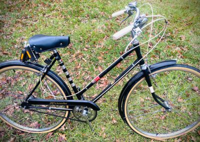 Raleigh Hercules Bike Angle 1
