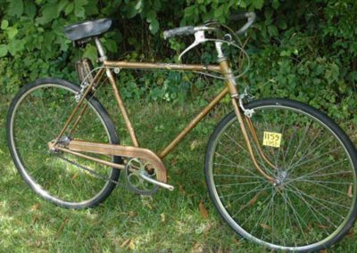 Schwinn Traveler