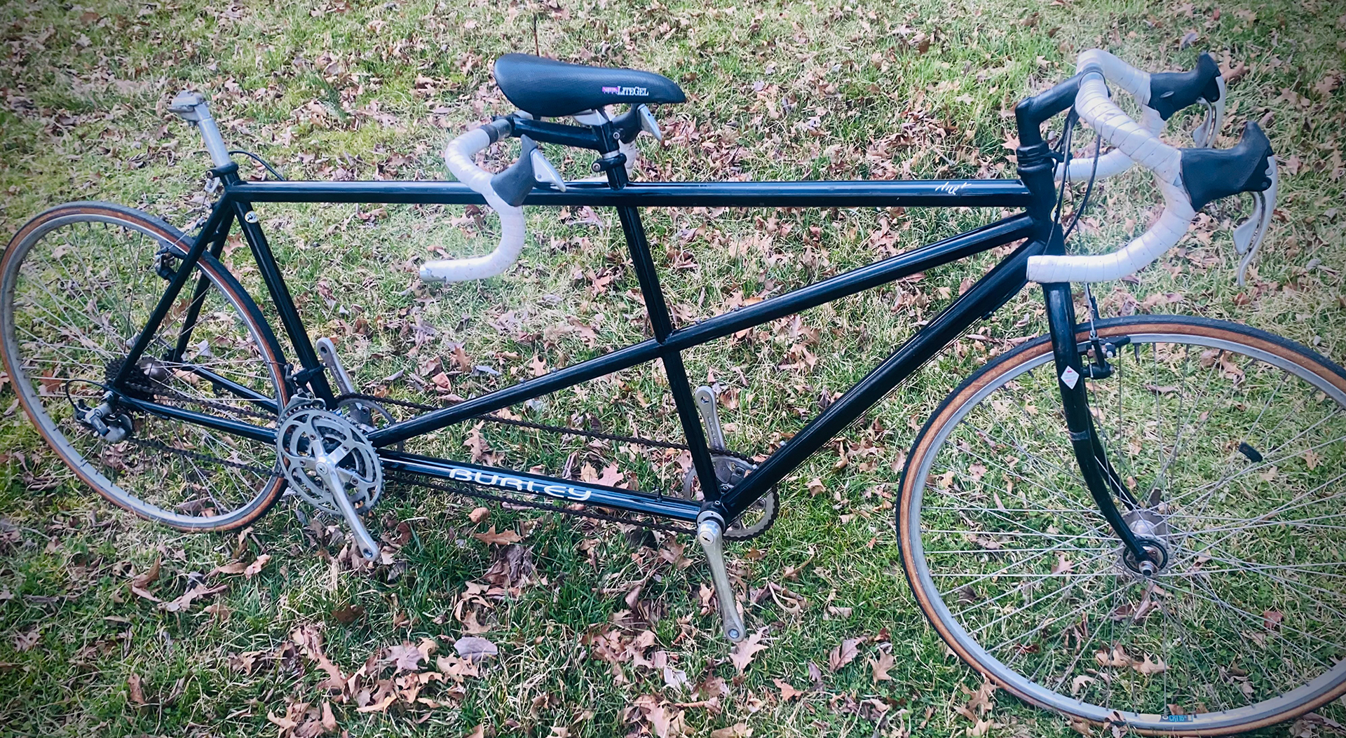 Burley duet tandem new arrivals
