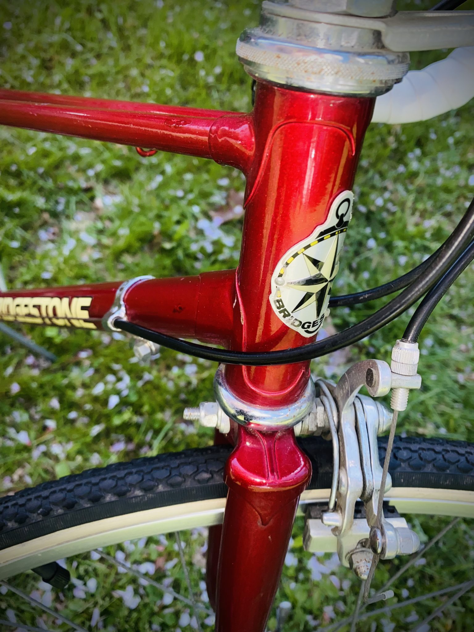 Auto Draft - Mount Airy Bicycles