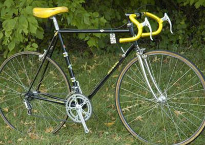 Full view of 3Rensho Bike