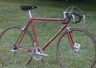 A red bicycle is parked in the grass.