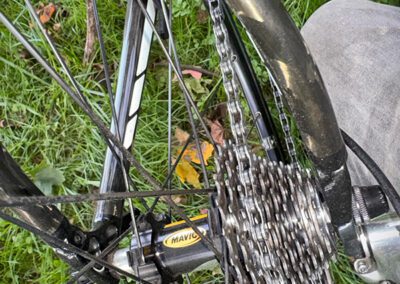 Specialized Tarmac Expert Carbon